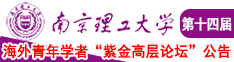 插逼逼插逼逼南京理工大学第十四届海外青年学者紫金论坛诚邀海内外英才！
